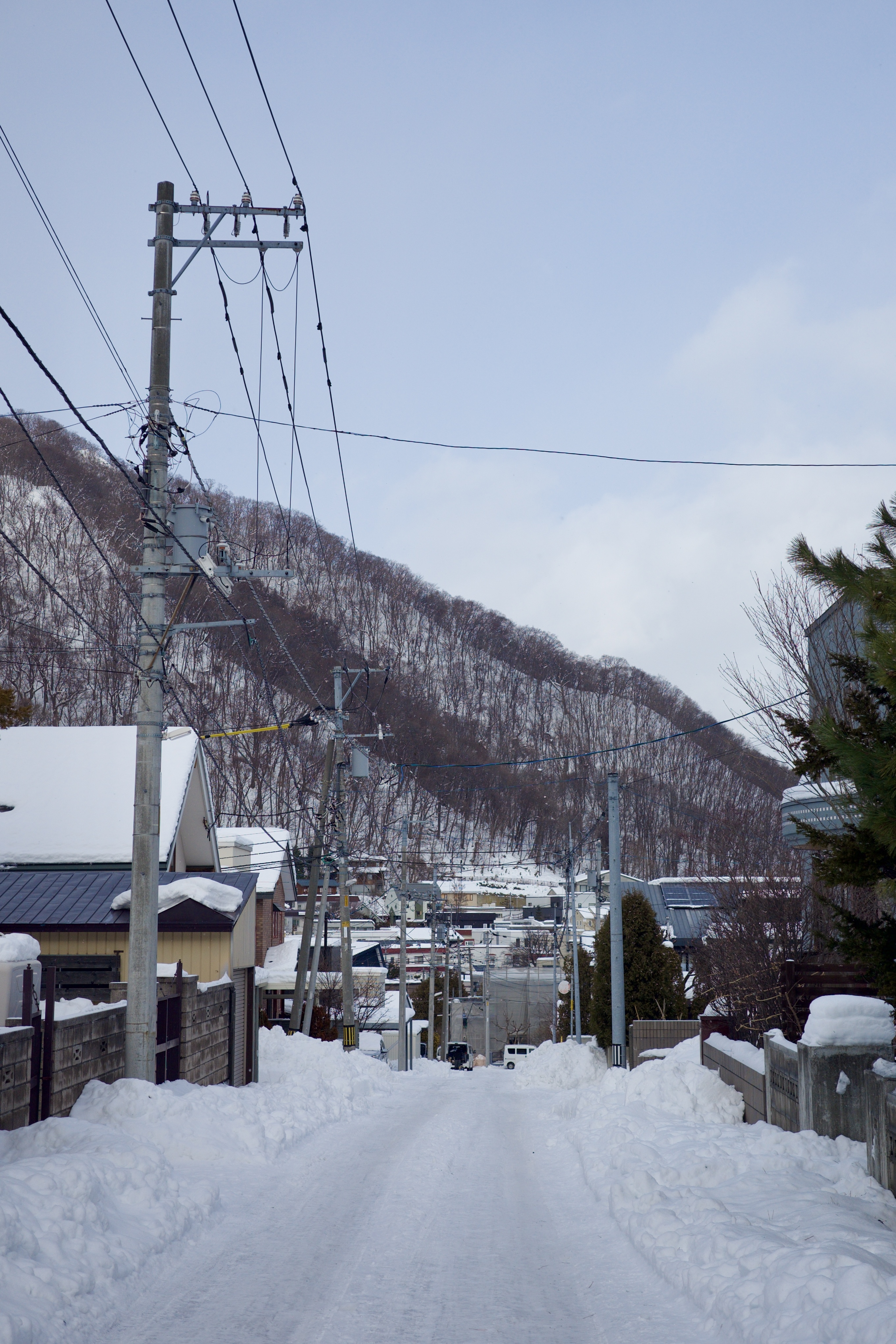 日本·札幌 摄影照片 01